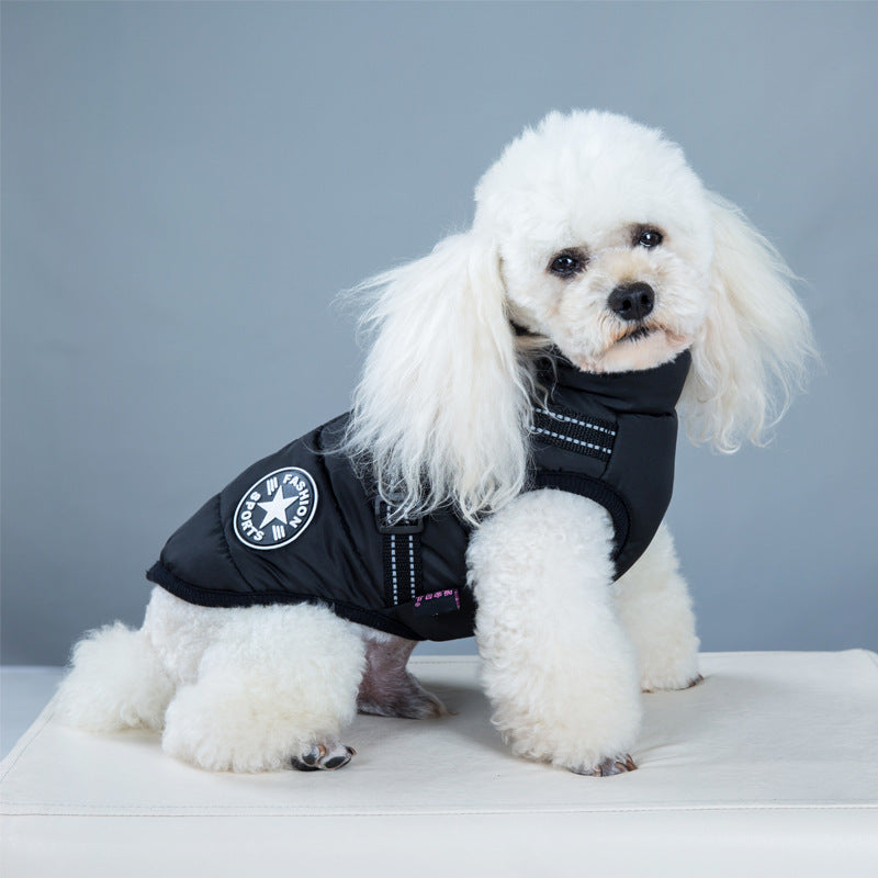 Black dog coat