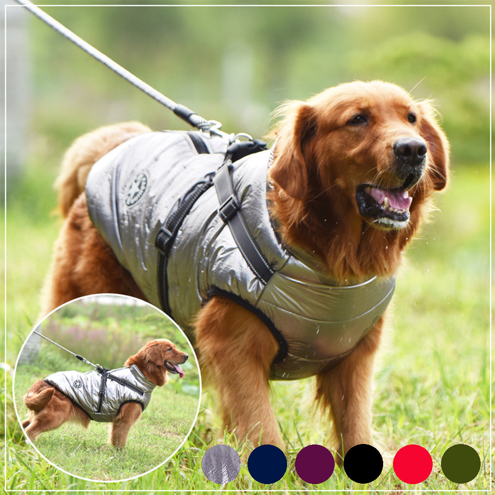 Dog coat detail